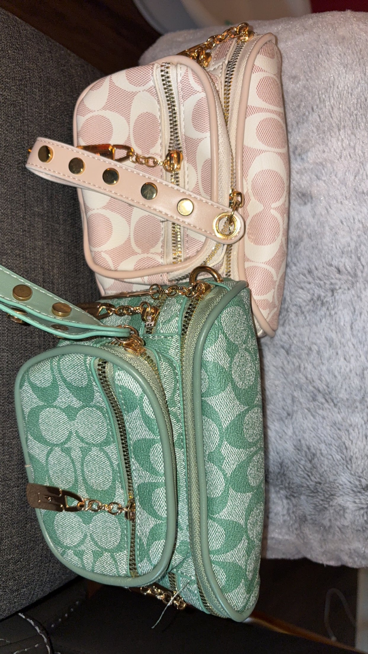 Coach Mini Bag